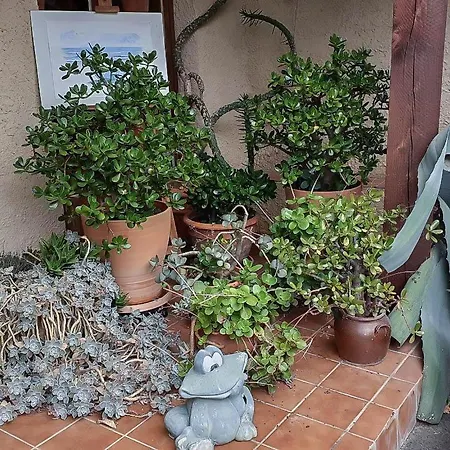 Vakantiehuis L'ourson